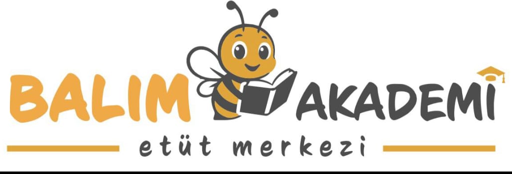 Balim Akademi